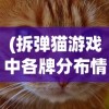 (拆弹猫游戏中各牌分布情况)一起揭秘拆弹猫游戏，详解各类牌具有的数量及其作用