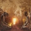 (源灵大陆)探寻神秘世界之源，源灵战纪动画带你领略奇幻冒险的无尽魅力