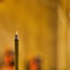 如果一生只有三十岁完整版：探讨时间的珍贵与生命的意义，如何更有意义度过我们有限的时光