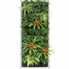 (最佳净化空气吸甲醛植物排名及养护方法有哪些)最佳净化空气吸甲醛植物排名及养护方法