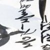 (书法家沈鸿根行草)探寻中国书法文化之美：沈鸿根行草字体的独特魅力及艺术价值