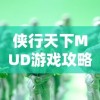 侠行天下MUD游戏攻略：如何查看和理解角色容貌设定以提升游戏体验
