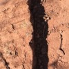 (隐藏的家伙沙漠宝藏)探寻隐藏的家伙：沙漠攻略及隐秘之处探索指南