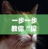 一步一步教你“探探猫大作战”战胜对方的全盘策略攻略，赢在细节的必杀技揭秘