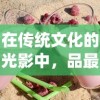 在传统文化的光影中，品最美的人生：以笑傲乾坤酒一壶的主题探讨中国酒文化的深远影响