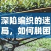 深陷编织的迷局，如何脱困？——专家深度剖析与宠物共享的人生攻略