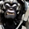 (仙界大乱斗)仙岛大乱斗游戏是否已被下架？玩家们怀念还是希望游戏归来