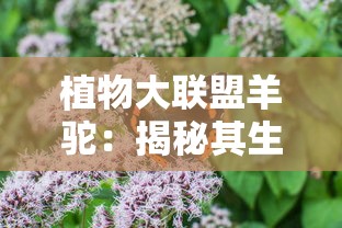 植物大联盟羊驼：揭秘其生态价值和环保焦点，呼唤全球共同保护珍稀物种