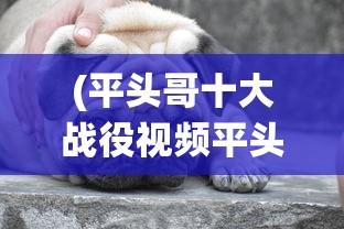 探寻最实惠的游戏体验：哪个平台给予女神联盟契约最大的折扣优惠？