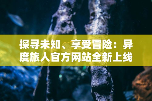 探寻未知、享受冒险：异度旅人官方网站全新上线，提供最新游戏资讯及独家攻略