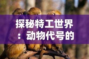 探秘特工世界：动物代号的奥秘与美学——从装饰画到电影文化的跨界解读