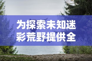 为探索未知迷彩荒野提供全方位解析：荒野冒险世界攻略大全之生存、探索与战斗策略全解析