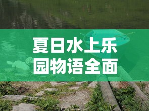 夏日水上乐园物语全面攻略：带你深度解析玩水项目选择与安全防护秘籍