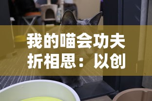 我的喵会功夫折相思：以创新宠物训练理念揭示人类与动物间深刻情感纽带的全新理解