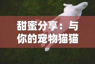 (罗泽希尔常驻职业)探索罗泽希尔的转职路线：如何选择最适合你的职业发展之道