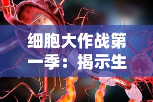 细胞大作战第一季：揭示生命奥秘，带你深度了解人体免疫系统运作机制