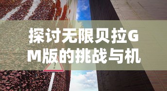 探讨无限贝拉GM版的挑战与机遇：基于游戏规则的深度解析体验游戏的全新境界