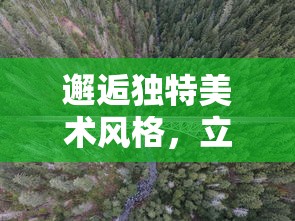 邂逅独特美术风格，立体塔防策略新体验——一起探索《神秘森林：基于和王国保卫战画风的冒险游戏