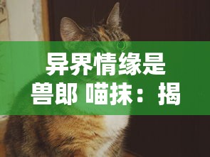 异界情缘是兽郎 喵抹：揭秘猫身战士的爱恨情仇与异界生存艰辛的心路历程