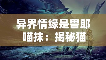 异界情缘是兽郎 喵抹：揭秘猫身战士的爱恨情仇与异界生存艰辛的心路历程