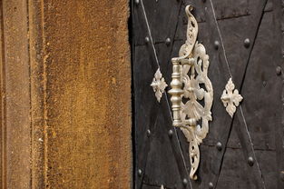 详细揭秘进击魔兽大陆武器图鉴:精选武器的历史背景、使用技巧及属性的全方位解读 详细揭秘进击魔兽大陆武器图鉴:精选武器的历史背景、使用技巧及属性的全方位解读