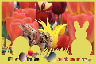 (开心部落下载安卓版)开心部落是否仍存在？网友们依然记忆犹新