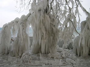(不可思议之梦蝶的故事)不可思议之梦蝶:一个神奇的世界,还能让我们沉浸其中吗? (不可思议之梦蝶的故事)不可思议之梦蝶:一个神奇的世界,还能让我们沉浸其中吗?