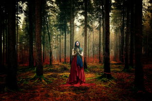 (星辰变原著)星辰变归来:揭示宇宙奥秘与人类命运的新篇章 (星辰变原著)星辰变归来:揭示宇宙奥秘与人类命运的新篇章