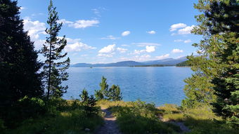 探索冰冻星球:令人惊叹的壮丽自然景观与神秘生物的中文版解说 探索冰冻星球:令人惊叹的壮丽自然景观与神秘生物的中文版解说