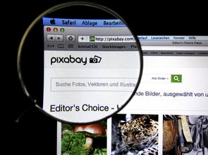 (社畜如何快乐)社畜的福报免广告答题:如何突破困境,赢得成功? (社畜如何快乐)社畜的福报免广告答题:如何突破困境,赢得成功?