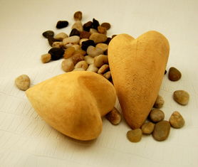 (符石守护者刷符石)符石守护者bug刷金币：最新攻略教程与技巧大揭秘