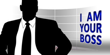 (我推不动他英文)如何快速掌握‘我推不动啦’的全部攻略，轻松突破每一个难关