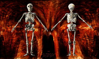 (地狱暗黑破坏神怎么打)揭秘《暗黑破坏神地狱模式攻略秘籍》:打破黑暗,踏上征程! (地狱暗黑破坏神怎么打)揭秘《暗黑破坏神地狱模式攻略秘籍》:打破黑暗,踏上征程!