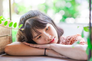 (一肩挑应挑尽挑)一肩挑尽全诗翻译：传承经典，解读诗意的精髓