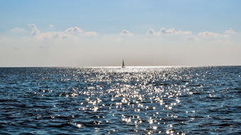 (黑鹰坠落第一关怎么过)《黑鹰坠落》游戏全攻略：从新手到大神的横扫战场之路