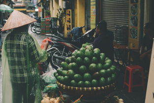 (战国布武武将大全)战国布武停服最新消息：玩家热议游戏将何去何从