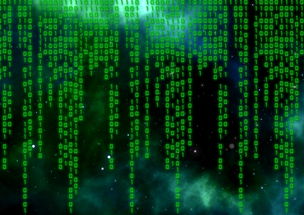 新澳六开彩免费资料查询结果|深度研究解释落实_forest最新版.6.744