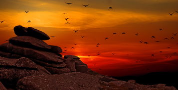 详解新星漂移游戏中键位设置的方法与技巧，助你轻松掌握驾驶技巧