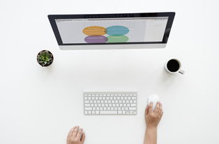 (穿越时空到明朝)穿越时空勇闯明朝：体验做一位昏君的跌宕人生旅程