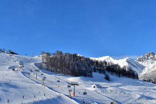 老澳门历史记录查询|实践经验解释落实_统筹版.8.711