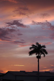 (创世战车下载手游)免费版创世战车游戏大放送：精彩刺激的战斗等你来体验！