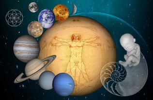 探讨未知的生命形态：专家解析创造我们星球生命如何通过独特方式获取能量与食物