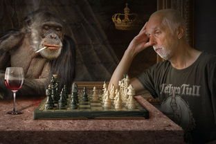 (三国之不朽龙城)不朽之城三国手游：战略策略玩法，领略三国风云英雄豪杰