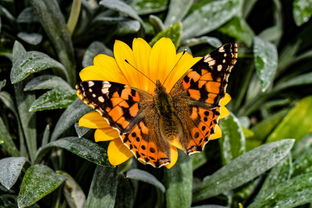 (狂暴传奇攻略)狂暴传奇福利boss位置揭秘:全图详解每个地点的藏宝点 (狂暴传奇攻略)狂暴传奇福利boss位置揭秘:全图详解每个地点的藏宝点