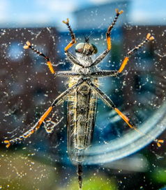 挂挂三国最强武将搭配推荐：助你轻松征战沙场，称霸三国的终极武将组合