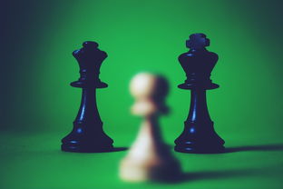 心罪爱丽丝关服影响深远：玩家情感投入与游戏产业挑战的深度思考
