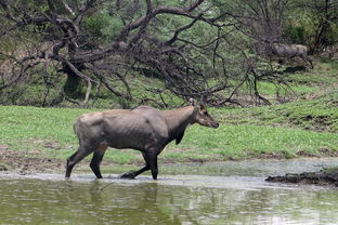 (三国志5挖人攻略)三国志5挖人技巧大揭秘：如何高效地招揽人才并留住他们？