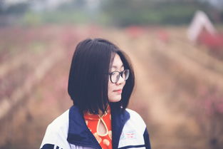 (国王与冒险家合成表)国王与冒险家全解锁攻略：轻松获取全部角色与资源的终极指南