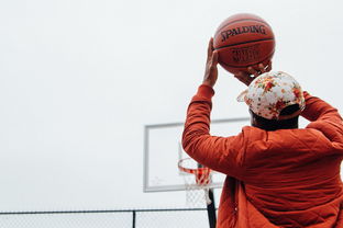 (街头篮球 破解版)破解版街头篮球单机老版本：揭秘游戏内幕及下载指南