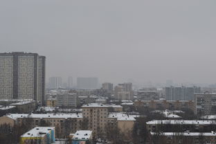 大王之梦胜曼扮演者：揭秘演员背后的故事与挑战